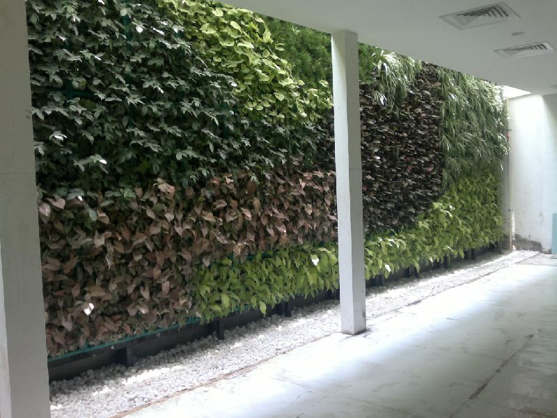 Natural Greenwall Construction Service 01