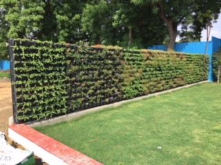 Natural Greenwall Construction Service 03