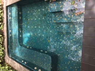 Swimming Pool Landscaping 06