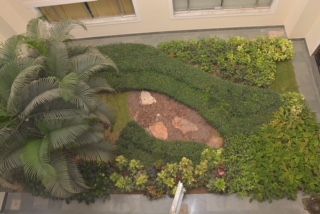 Terrace Garden Landscaping 10