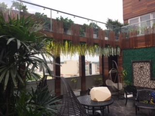 Terrace Garden Landscaping 13