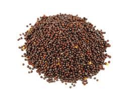 Mustard Seeds 01