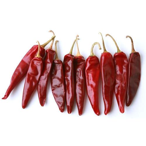 Dry Red Chilli 02