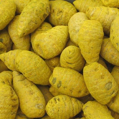 Turmeric Bulbs 01