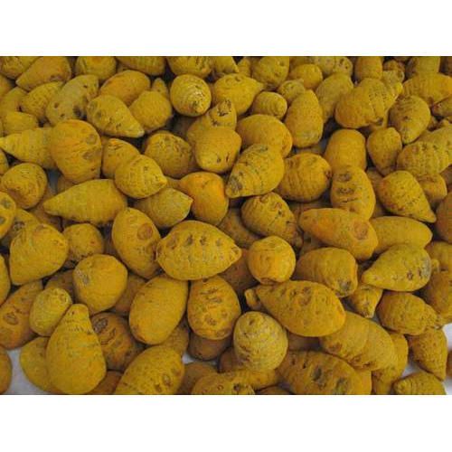 Turmeric Bulbs 02