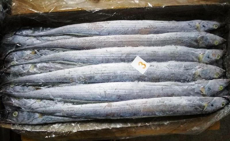 RBF 17 - Frozen Ribbon Fish