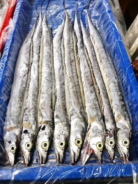 RBF 19 - Frozen Ribbon Fish