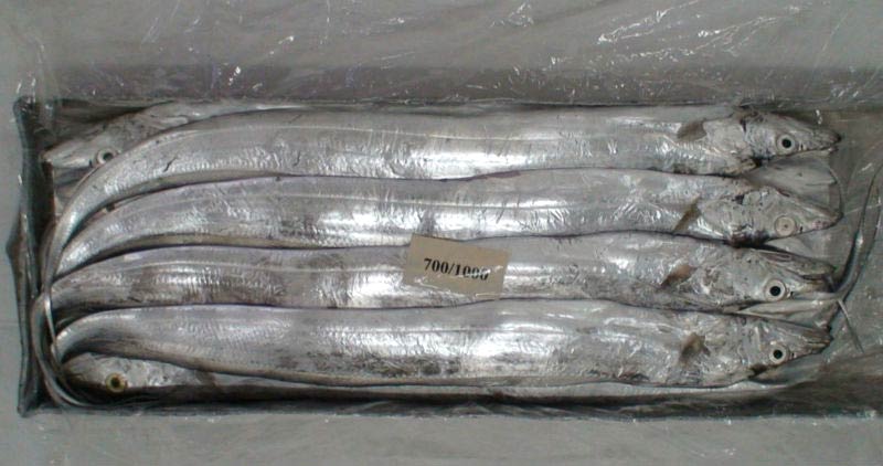 RF1 - Frozen Ribbon Fish