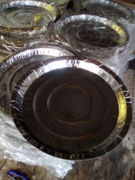 Eco Friendly Paper Plates 07