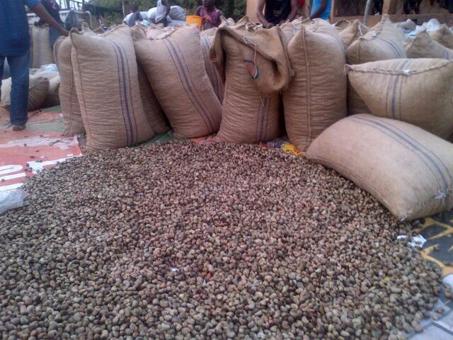 Raw Cashew Nut 03