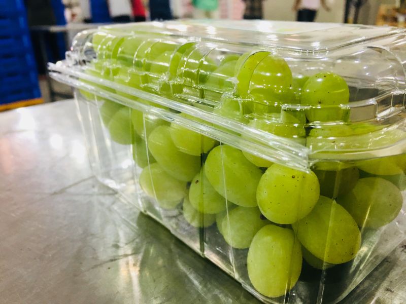 Fresh Grapes 01