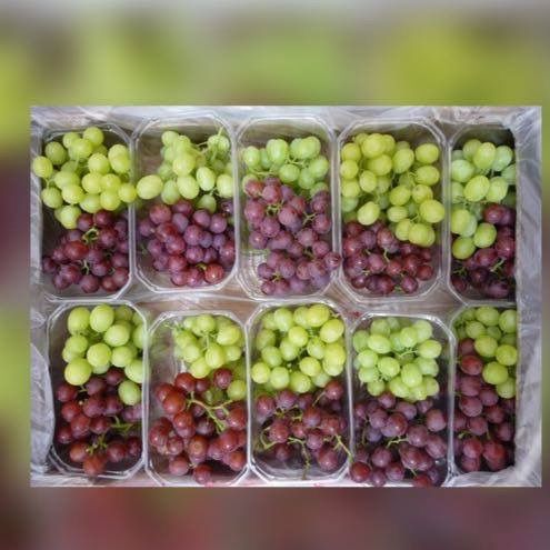 Fresh Grapes 03