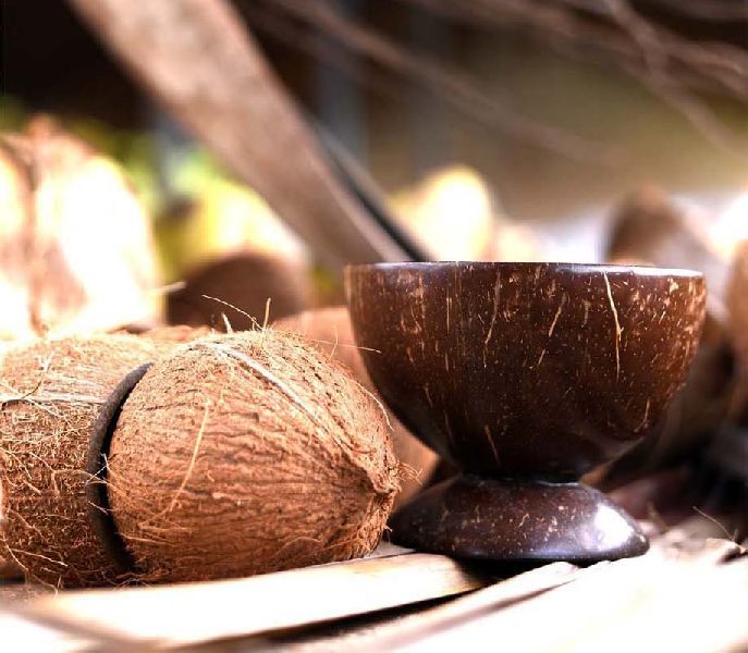 Coco Ice Cream Cups 04