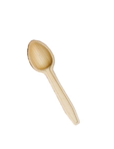 Areca Leaf Spoon 01