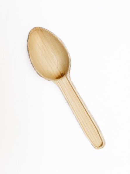 Areca Leaf Spoon 03