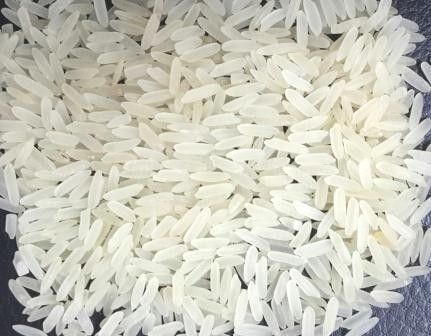 Silky Sortex Rice 02