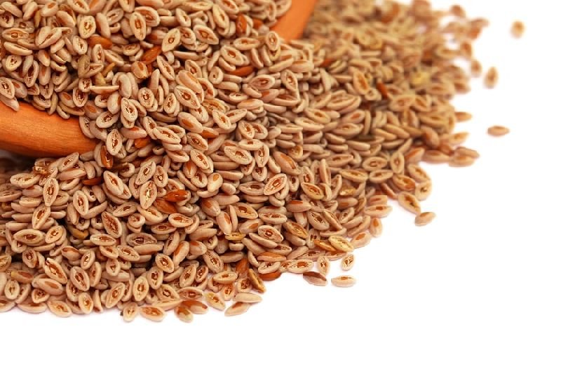 Psyllium Husk 02