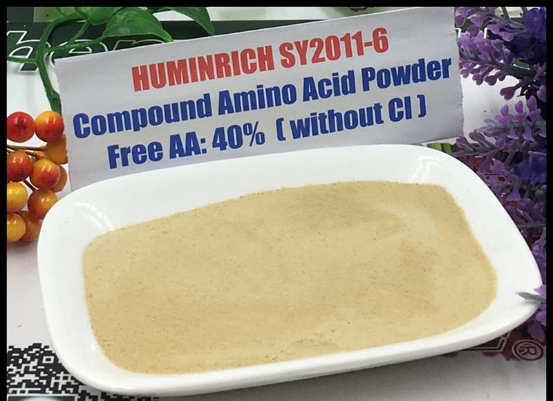Amino Acid Powder 02