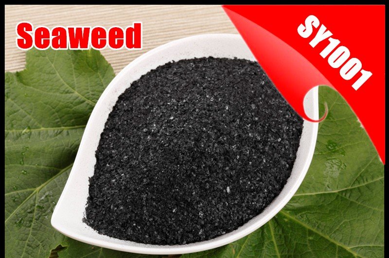 Seaweed Extract Flakes 01