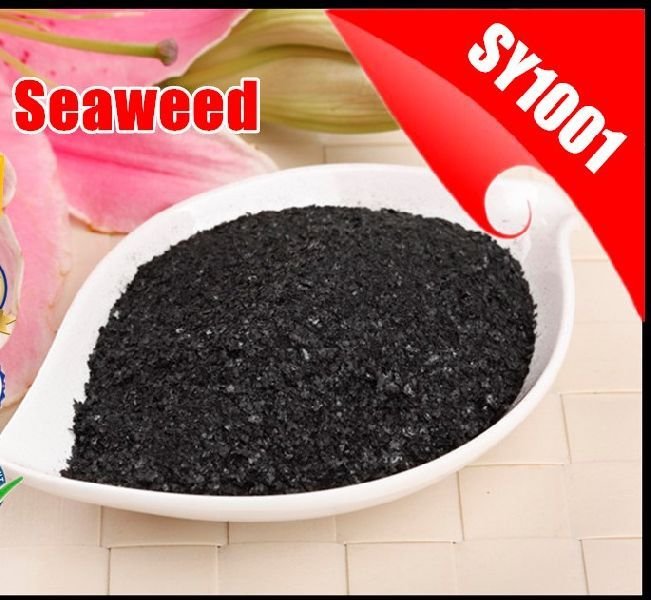 Seaweed Extract Flakes 02
