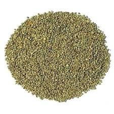 Pearl Millet 02