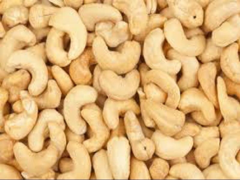 Cashew Nut 04