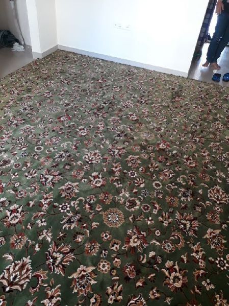 WALL TO WALL CARPET 04