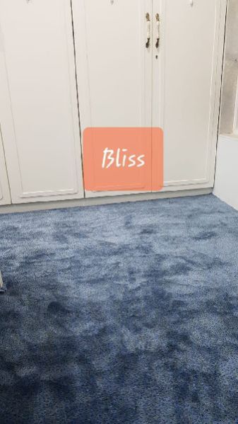 WALL TO WALL CARPET 09