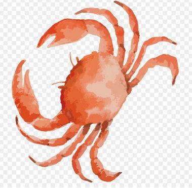 Dikka Unique Frozen Crab