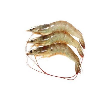 Dikka Unique Frozen Shrimp