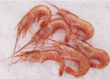Ennia Large Dried Shrimp