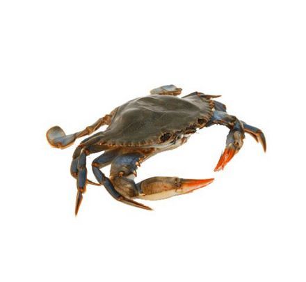 Mikaa Best Of Best Frozen Crab