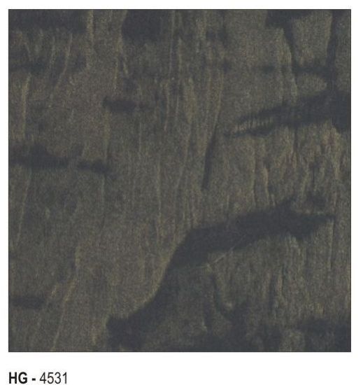 HG - 4531