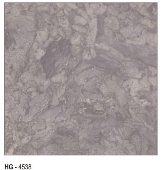 HG - 4538