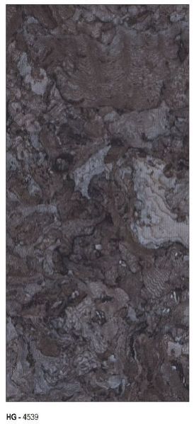 HG - 4539