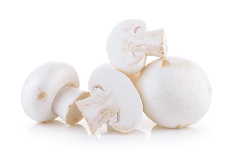 Fresh Milky Mushroom 01