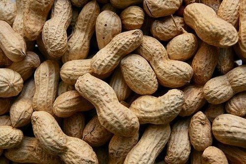 Shelled Groundnuts 02