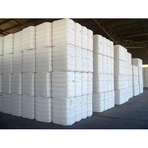 Cotton Bale 01