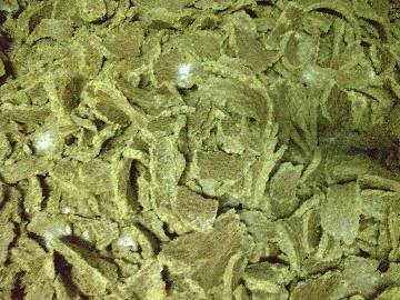 Cotton Seed Oil Cake 02