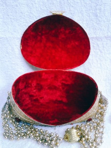 Aari Nagina Embroidery Purse 04