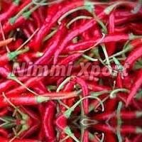 Kashmiri  Chilli
