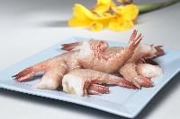 Headless Brown (Metapeanaeus Affinis)