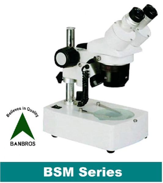 BSM Series Stereo Microscope 01