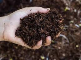 Enriched Organic Manure 2