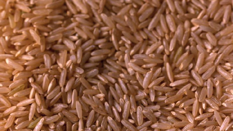 Brown Rice 02