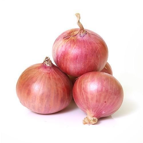 Pink Onion 05