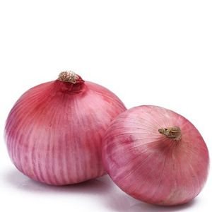 Pink Onion 06