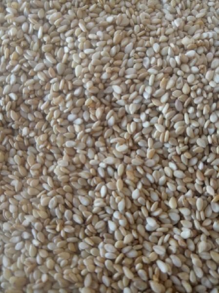 Roasted Sesame Seeds 02