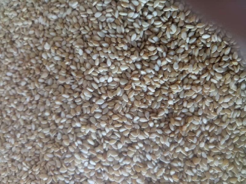 Roasted Sesame Seeds 03