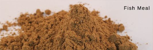 Fish Meal 02